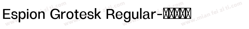 Espion Grotesk Regular字体转换